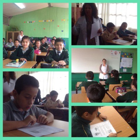 Una muestra del 5° Año Básico